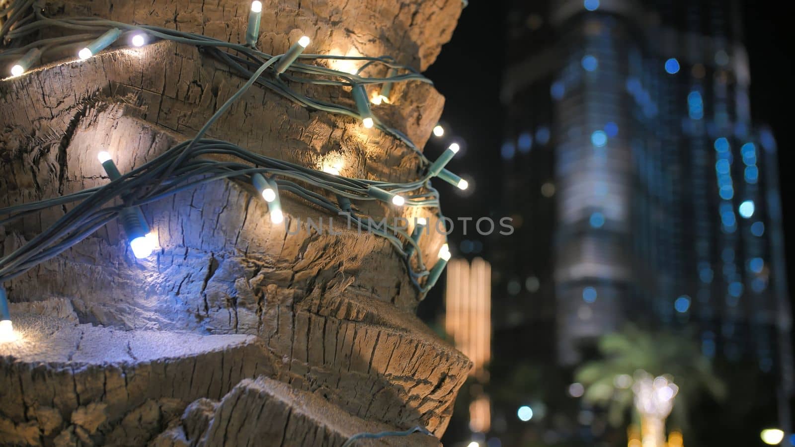 Garlands shine on the palm trees in Dubai at night