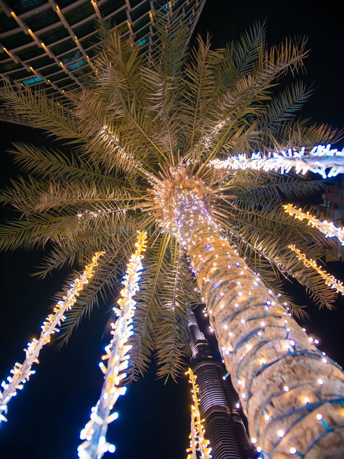 Palm trees with luminous garlands at night in Dubai.
