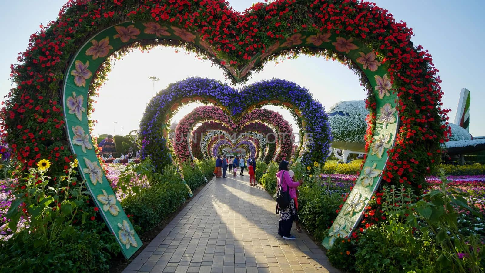 Heart shaped flower beds at the Alley of Hearts. Dubai Miracle Garden is famous for its extraordinary flower installations. A couple of people walking around at the park.