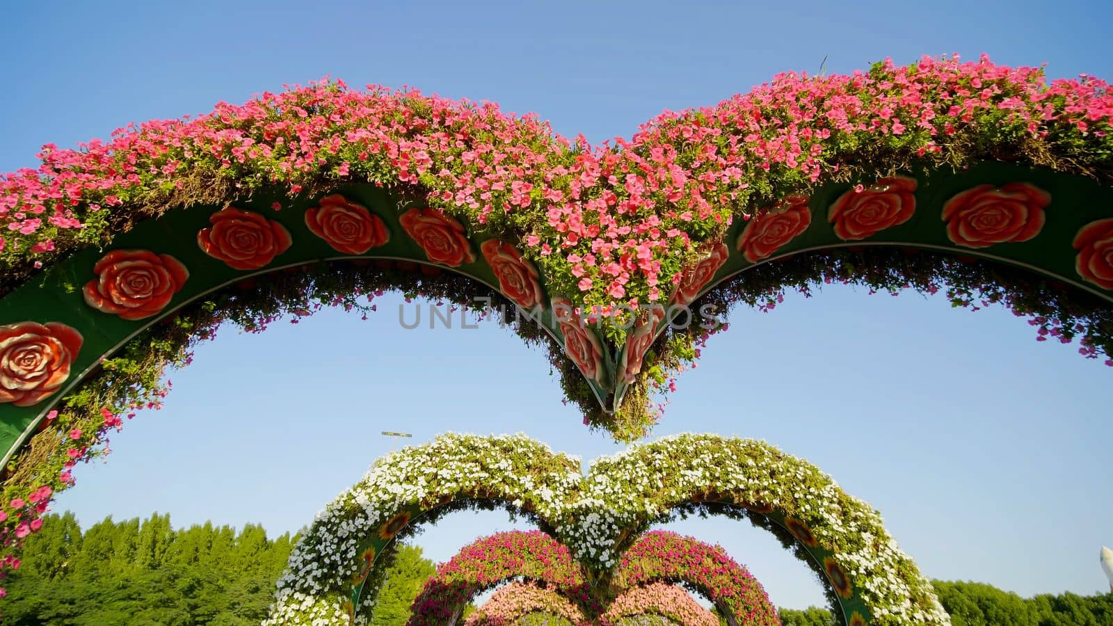 Heart shaped flower beds at the Alley of Hearts. Dubai Miracle Garden is famous for its extraordinary flower installations. A couple of people walking around at the park.