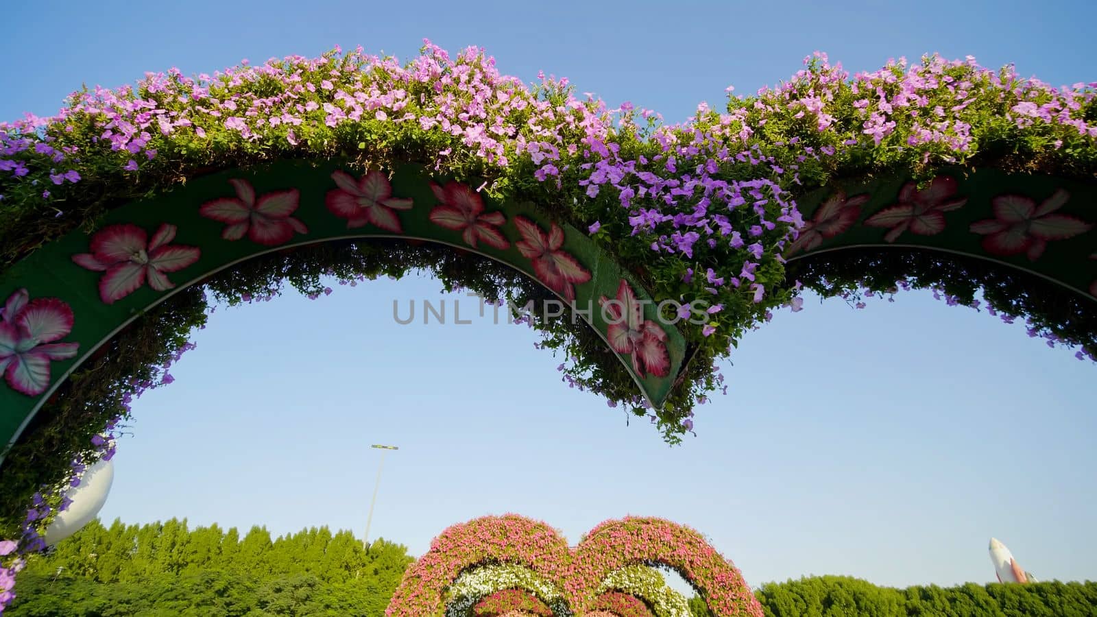 Heart shaped flower beds at the Alley of Hearts. Dubai Miracle Garden is famous for its extraordinary flower installations. A couple of people walking around at the park.