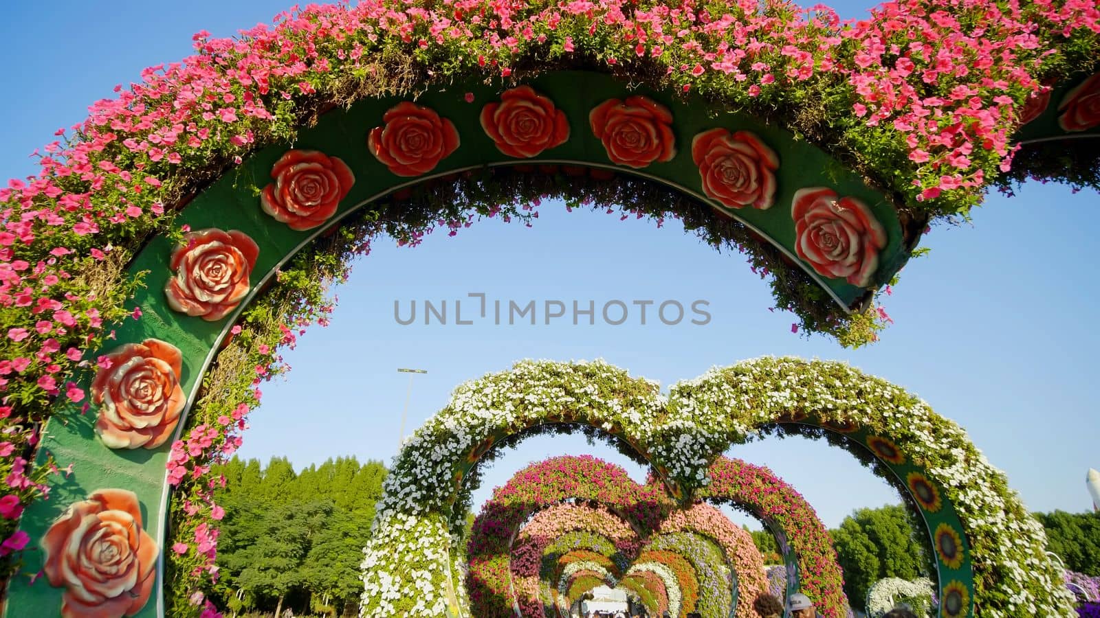 Heart shaped flower beds at the Alley of Hearts. Dubai Miracle Garden is famous for its extraordinary flower installations. A couple of people walking around at the park.