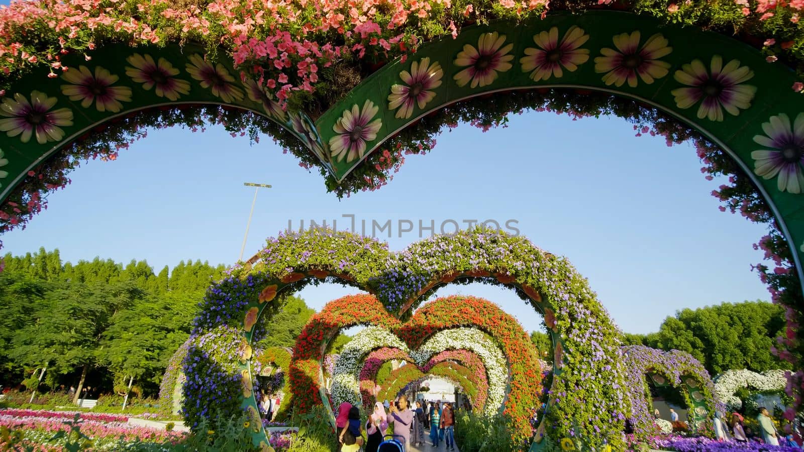 Heart shaped flower beds at the Alley of Hearts. Dubai Miracle Garden is famous for its extraordinary flower installations. A couple of people walking around at the park.
