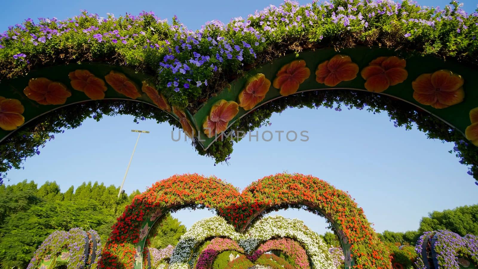 Heart shaped flower beds at the Alley of Hearts. Dubai Miracle Garden is famous for its extraordinary flower installations. A couple of people walking around at the park.