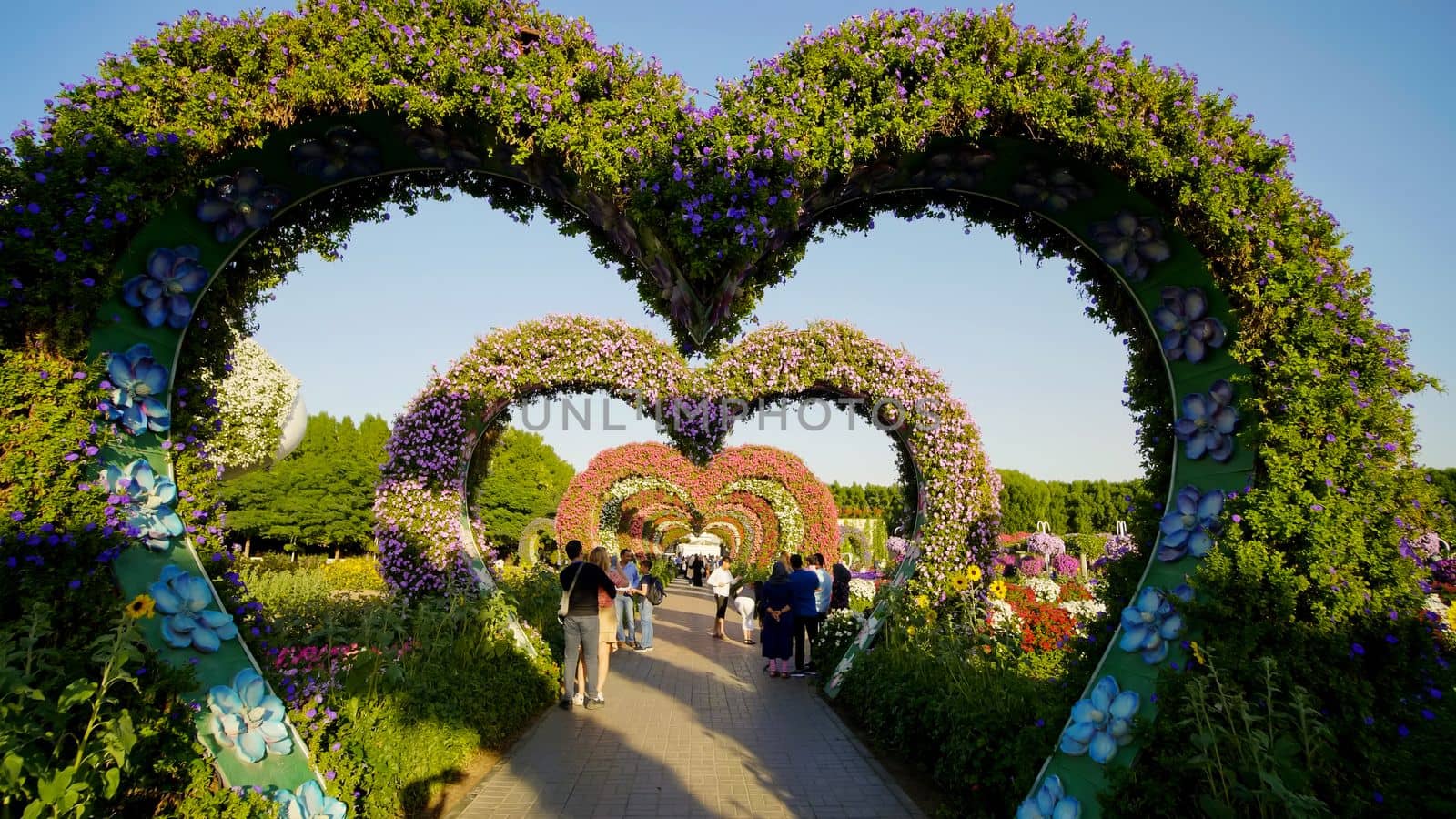 Heart shaped flower beds at the Alley of Hearts. Dubai Miracle Garden is famous for its extraordinary flower installations. A couple of people walking around at the park.