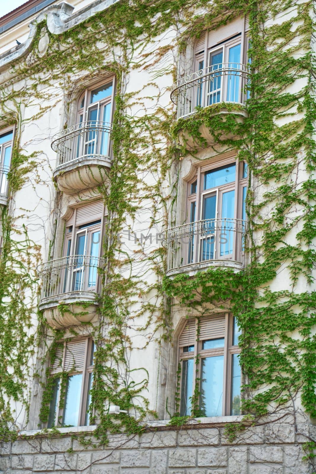 The architecture of old Europe. A building with a green plant weaving along the wall.