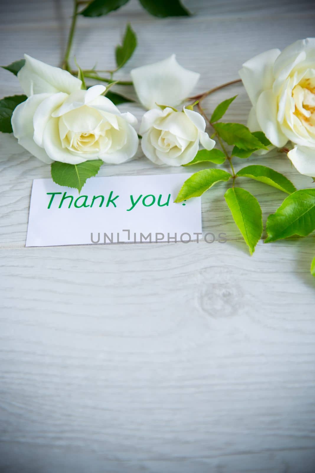 small bouquet of beautiful white summer roses, on a wooden table