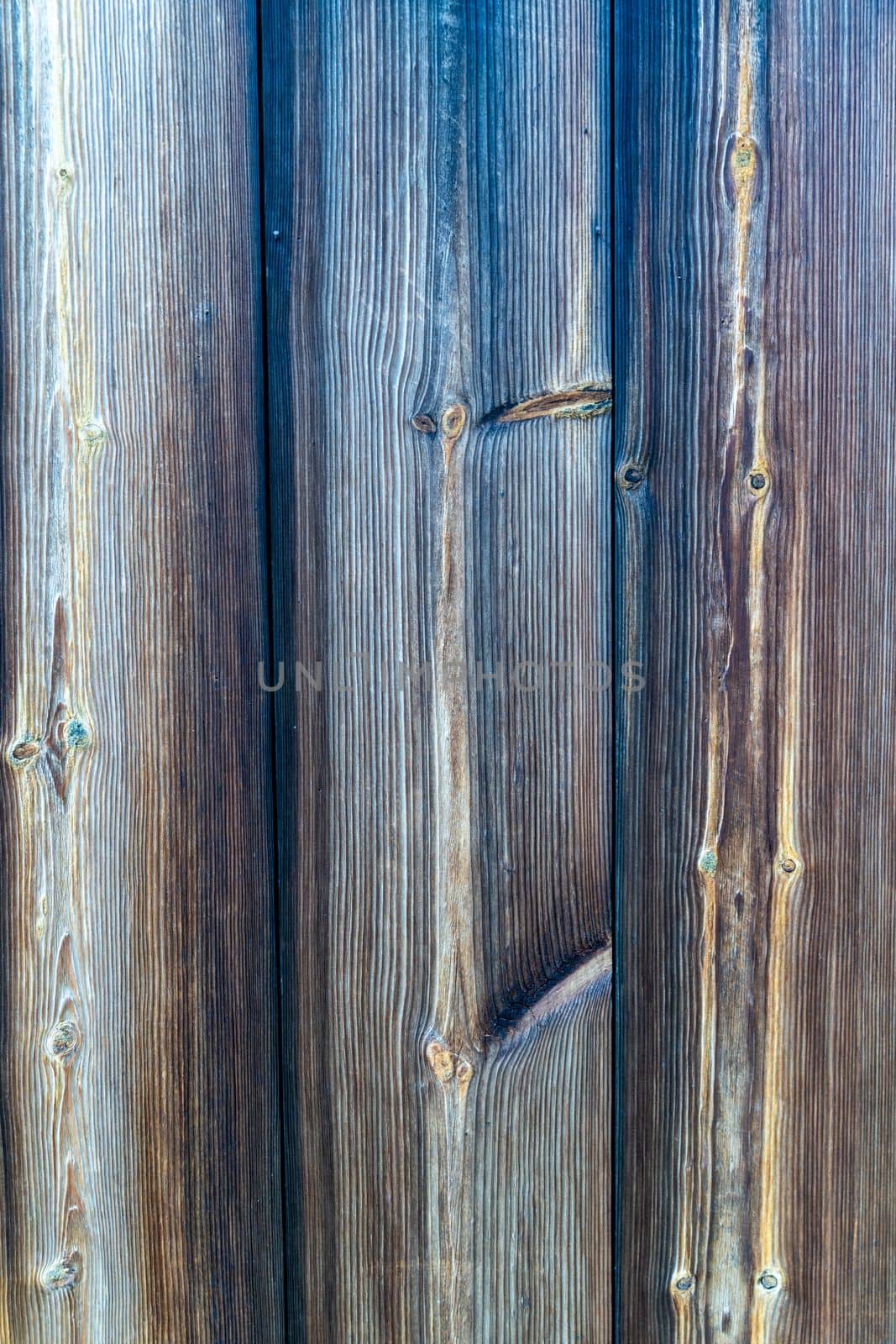 vertical photo textured background of burnt wood. The effect of burnt wood. Burnt brown wooden not unpainted surface texture