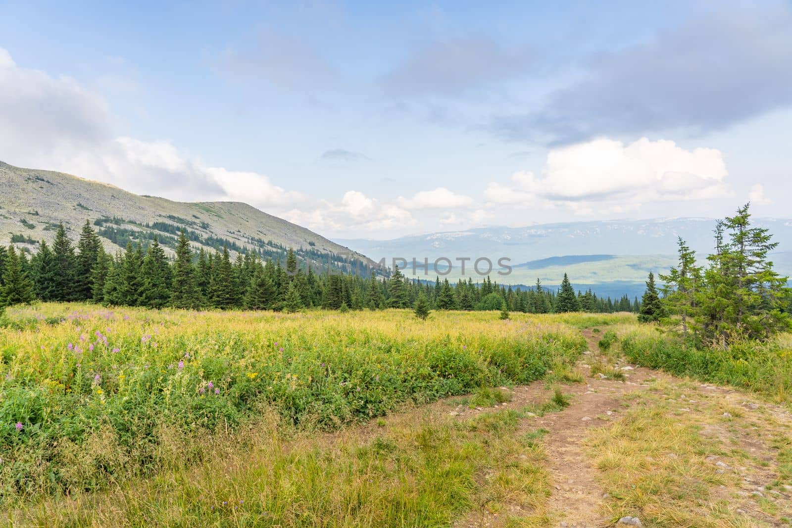 Forests and mountains of the Southern Urals near the village of Tyulyuk in Russia. Drone view