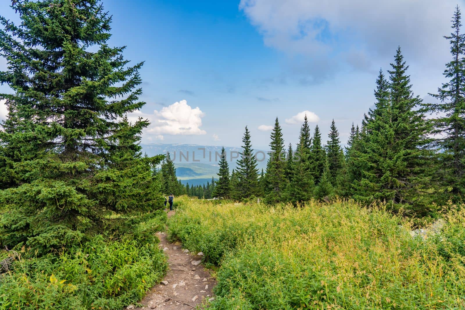 Forests and mountains of the Southern Urals near the village of Tyulyuk in Russia. Drone view