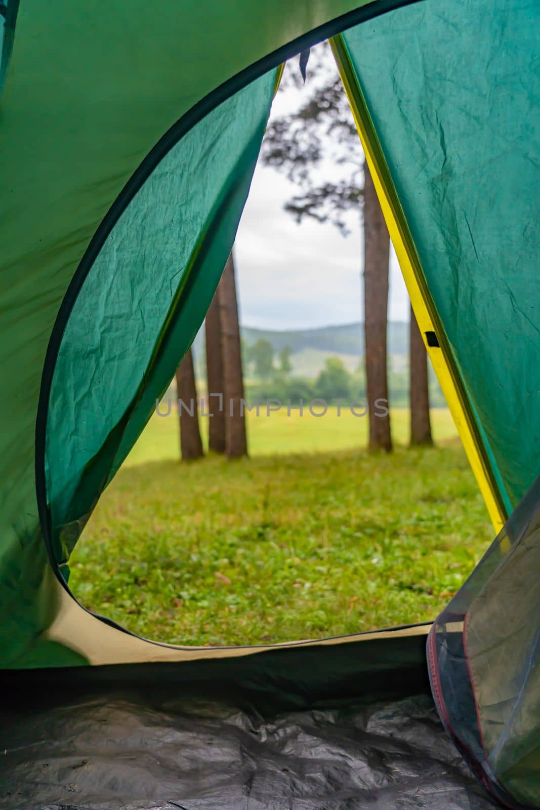 View from the tent to the forest. The concept of outdoor recreation