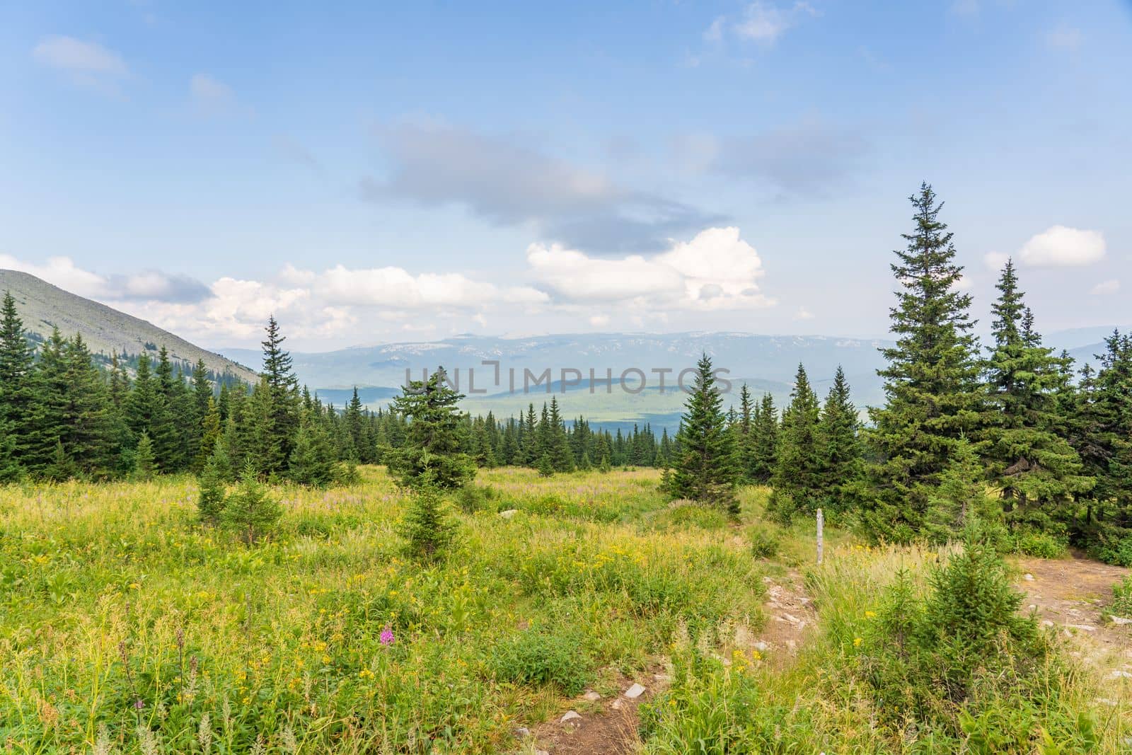Forests and mountains of the Southern Urals near the village of Tyulyuk in Russia. Drone view