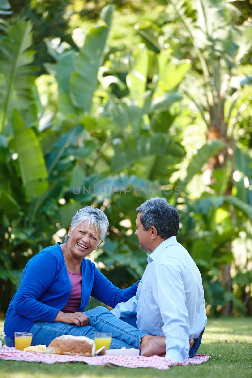 Picnic in the park. a loving senior couple enjoying a picnic together outdoors