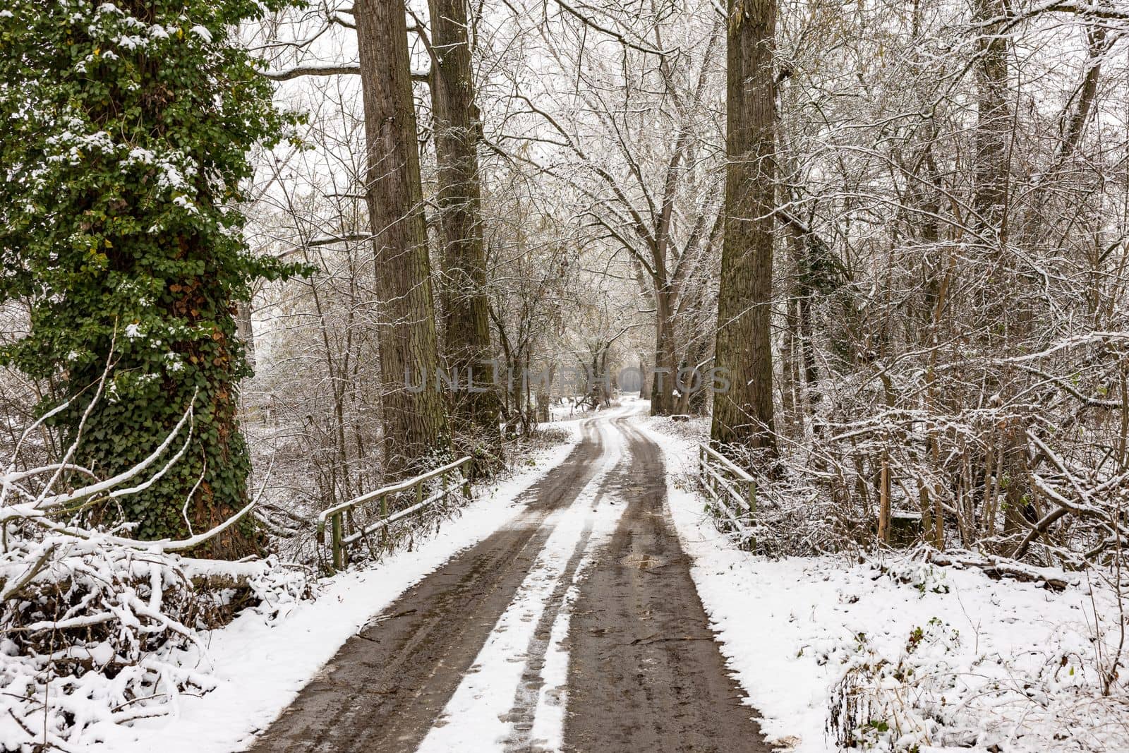 Lonely winter landscape with a dirt road and trees with snow and ice in winter
