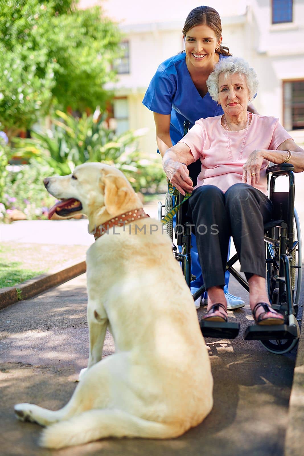 Hes her most trusted friend. a resident, her dog and a nurse outside in the retirement home garden