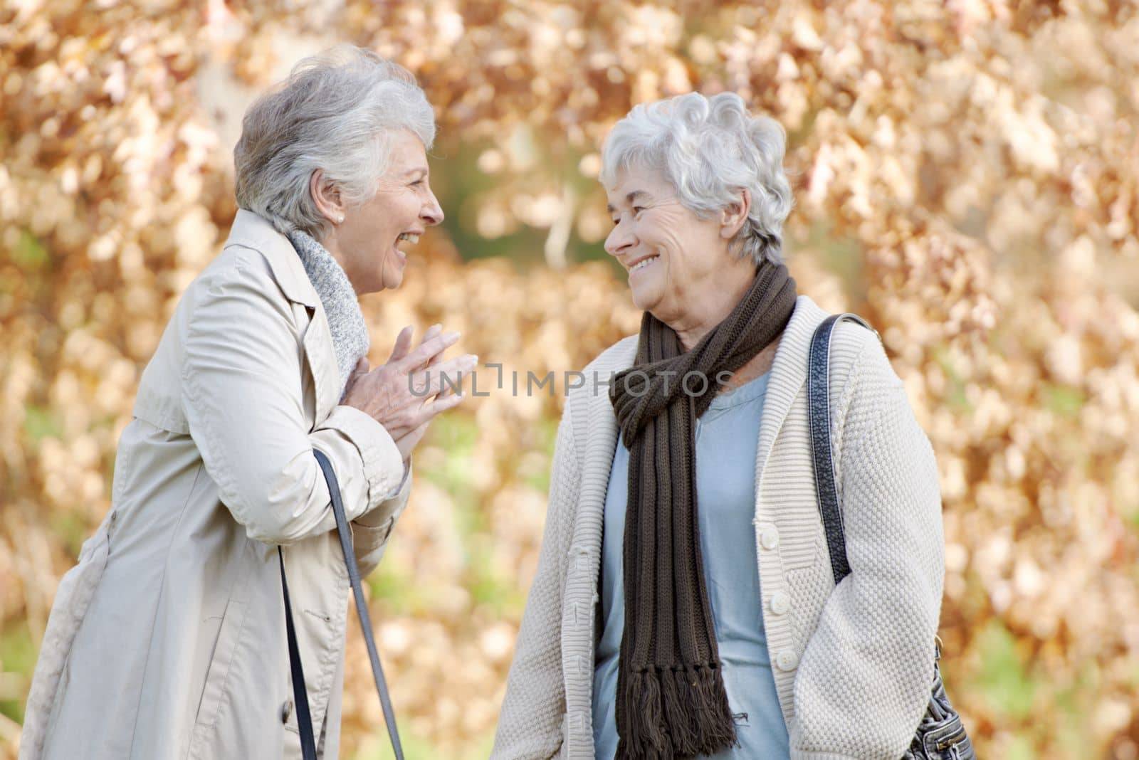 Laughing at old memories. Two senior women having a friendly conversation outside with autumn leaves in the background. by YuriArcurs