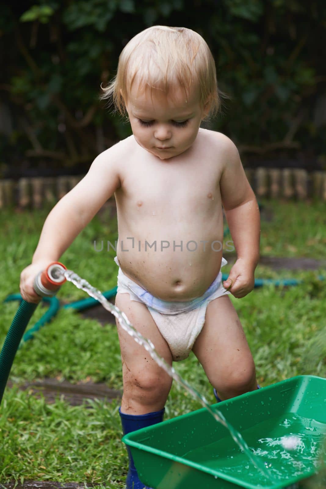 Inquisitive Baby. A baby in his nappy holding a hose pipe and pouting water into a gardening container