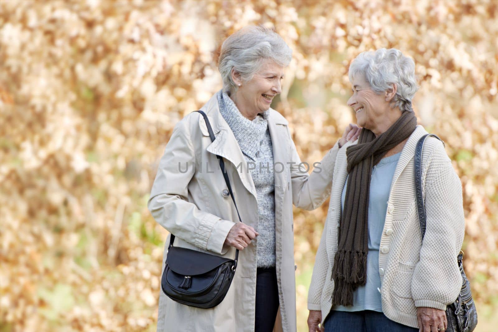 Friendship in their autumn years. Two senior women having a friendly conversation outside with autumn leaves in the background