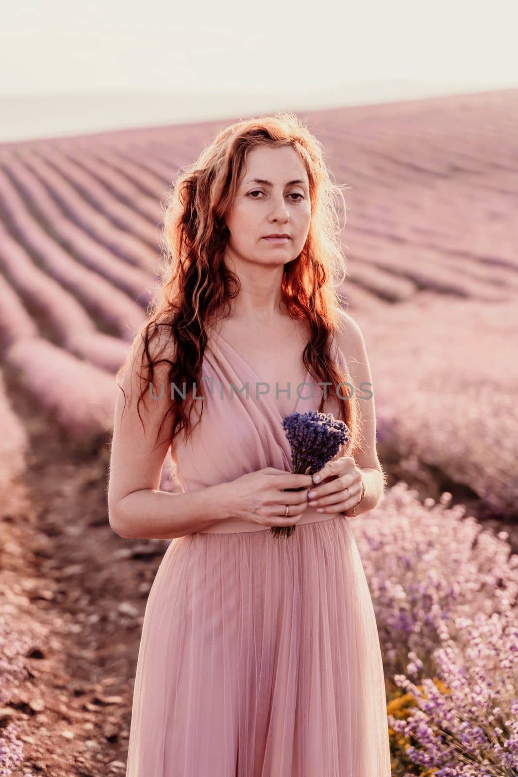Woman lavender field sunset. Romantic woman walks through the lavender fields. illuminated by sunset sunlight. She is wearing a pink dress with
