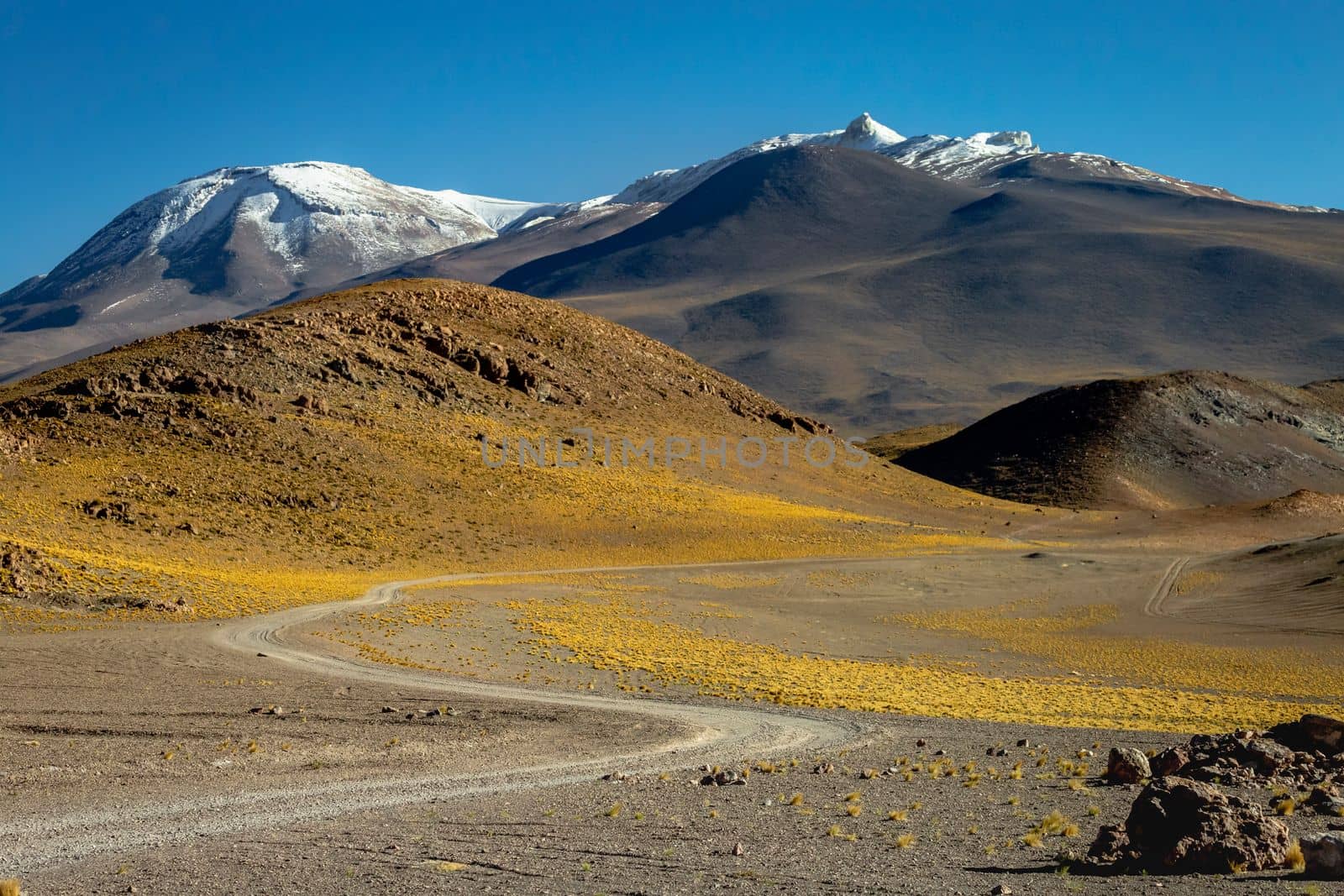 Dirt Road in Peaceful Moon Valley dramatic landscape at Sunset, Atacama Desert, Chile