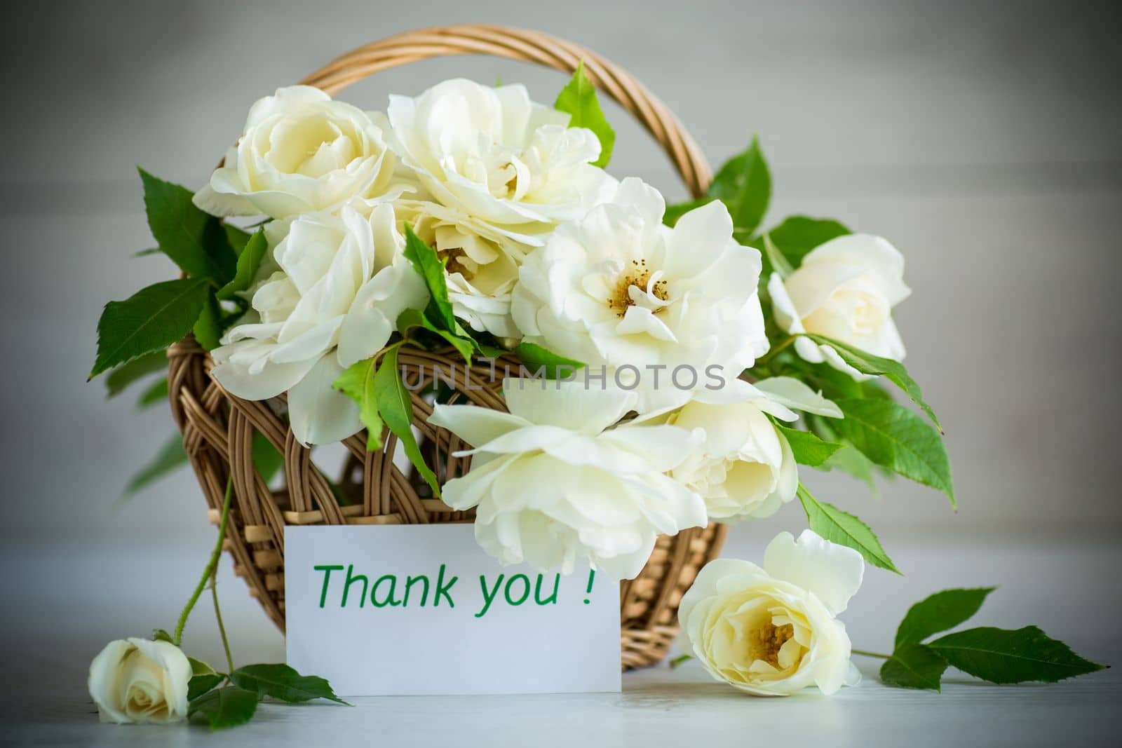 bouquet of beautiful white roses on a wooden table