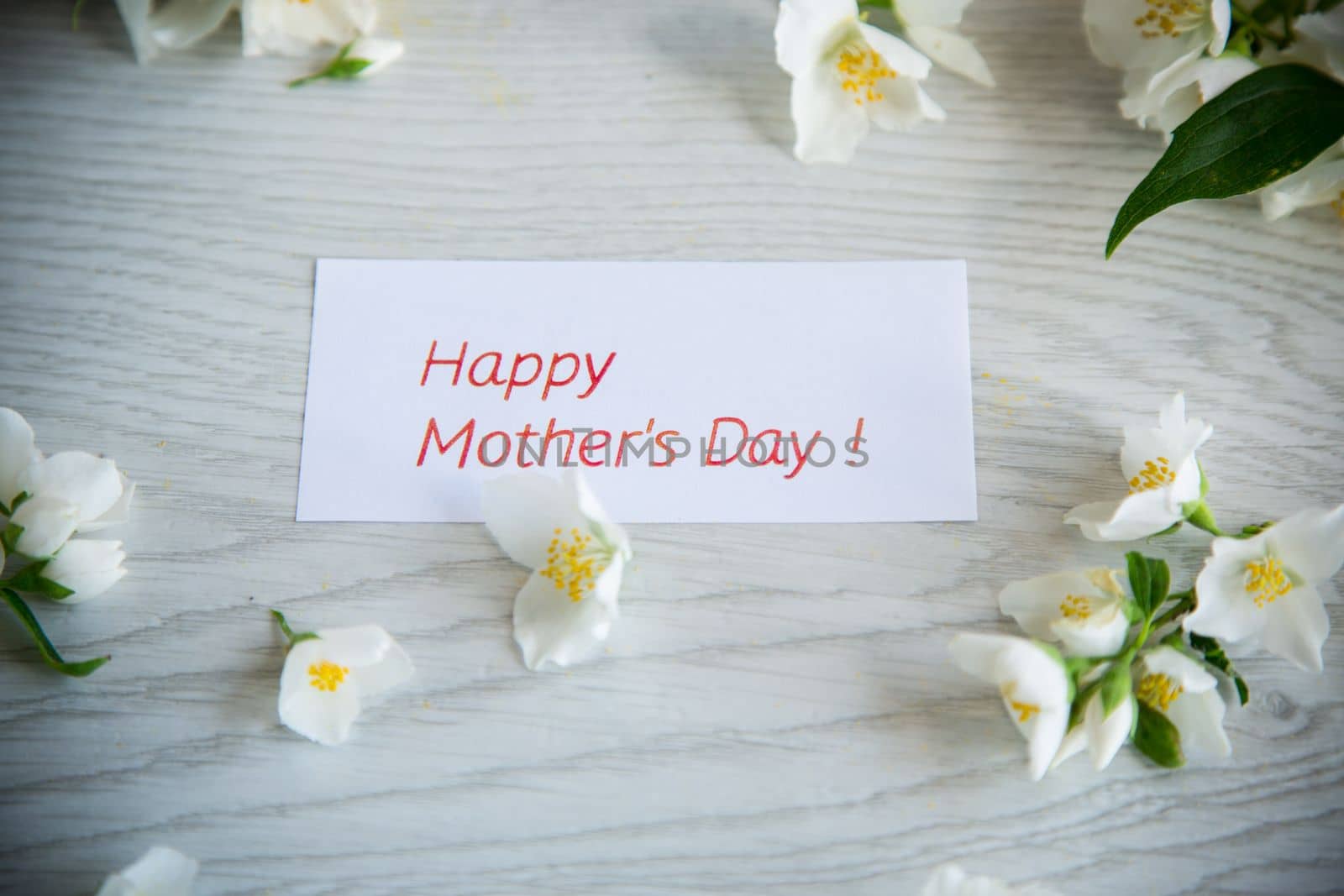 Wooden background with blooming beautiful white jasmine and congratulations for mother.