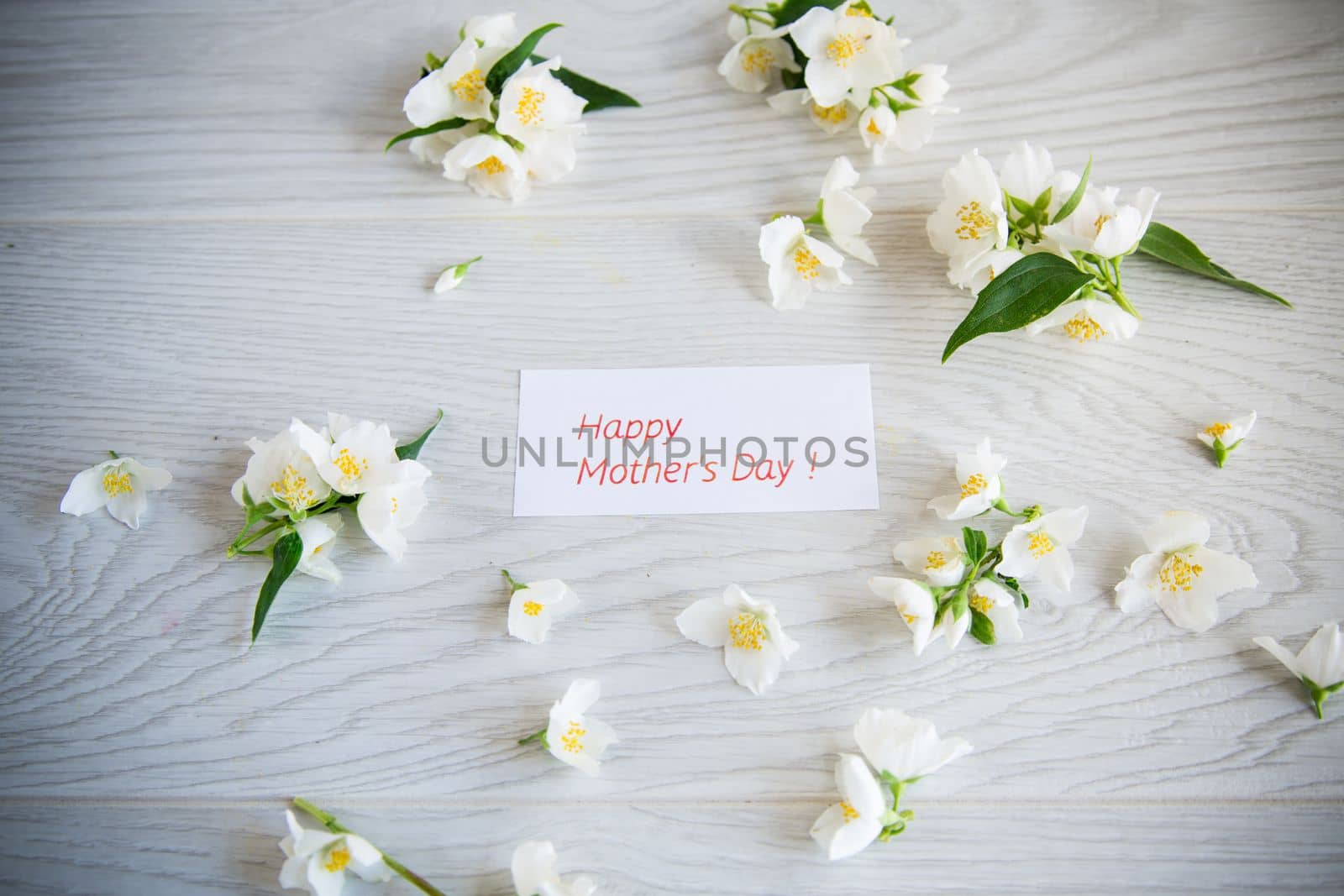 Wooden background with blooming beautiful white jasmine and congratulations for mother.