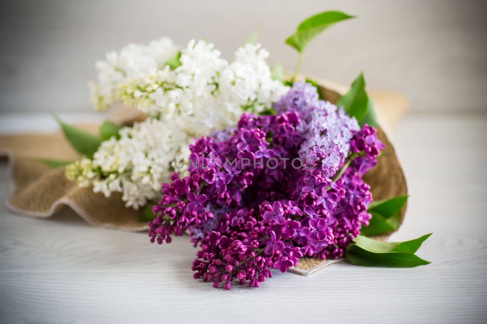 Bouquet of beautiful spring lilacs of different colors on a wooden table