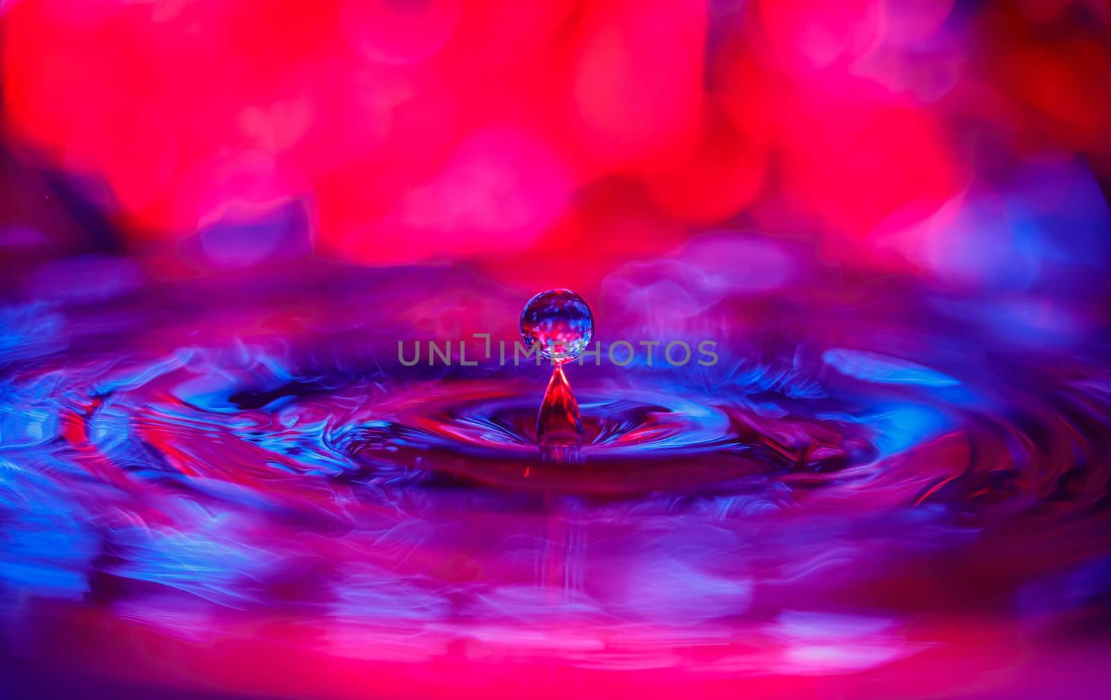 A transparent drop with a red-violet background falls into the water. Abstract colorful background