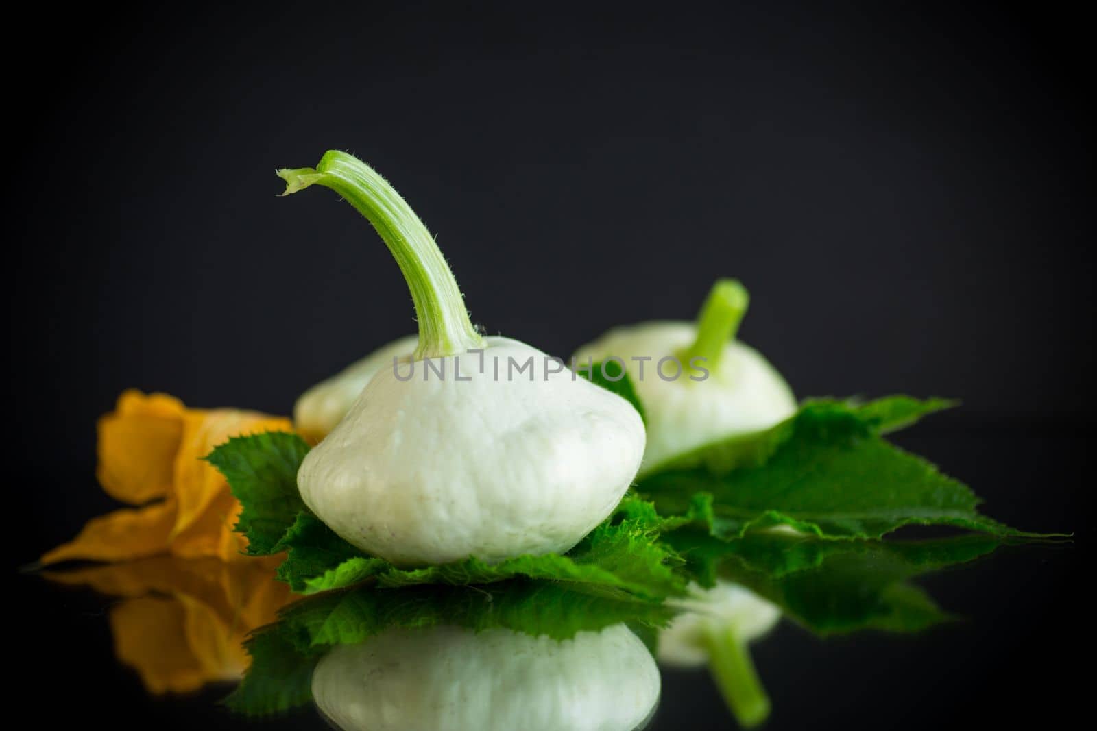 fresh organic squash with flowers and foliage isolated on black background