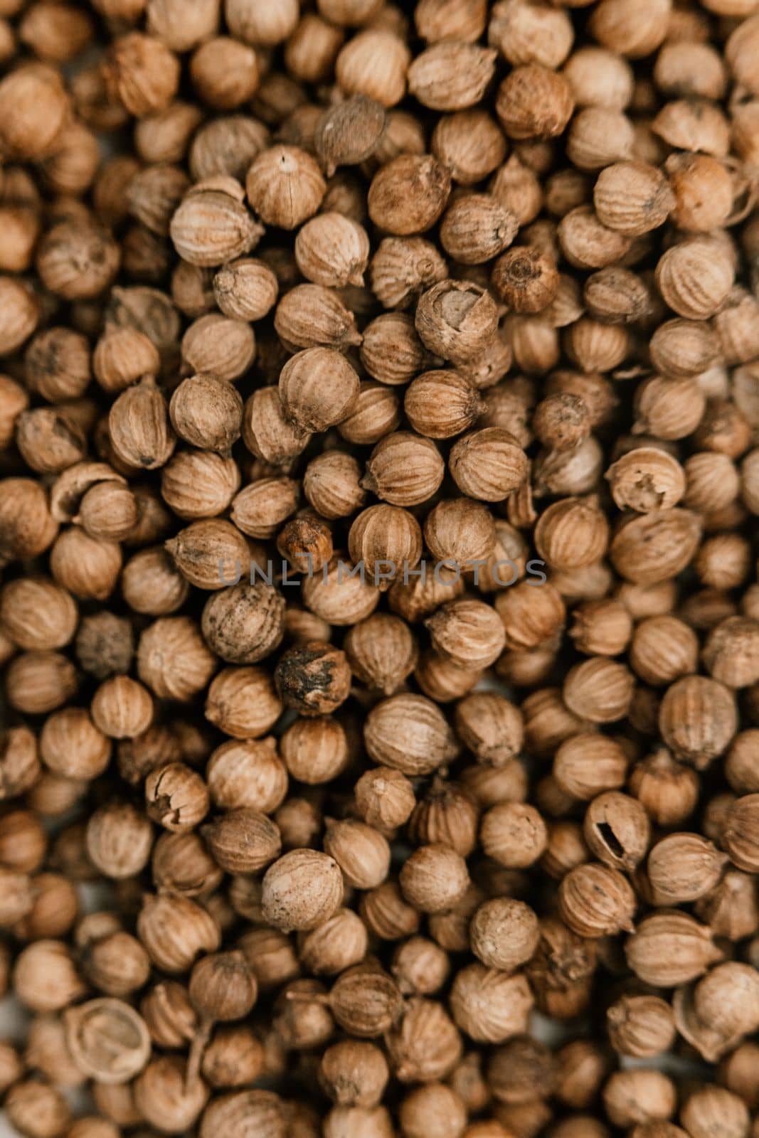 Coriander seeds close up texture background.