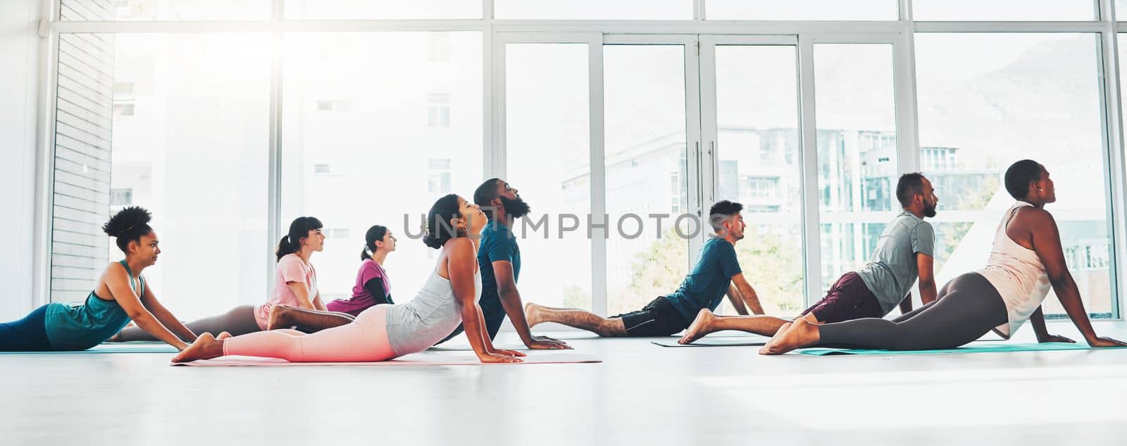 Yoga class, fitness and exercise with people together for health, diversity and wellness. Men and women in zen studio for holistic workout, mental health and body balance with cobra mockup on ground.