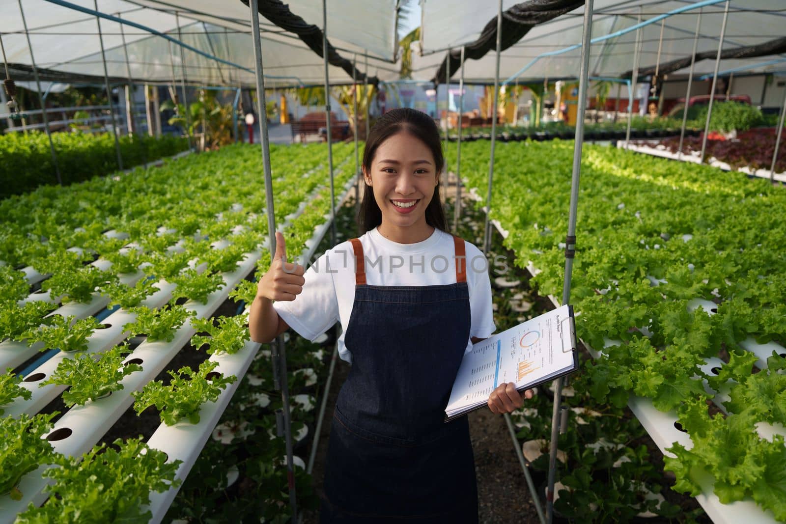 Asian business owner observed about growing organic in hydroponics farm. Growing organic vegetable and Green energy concept by itchaznong