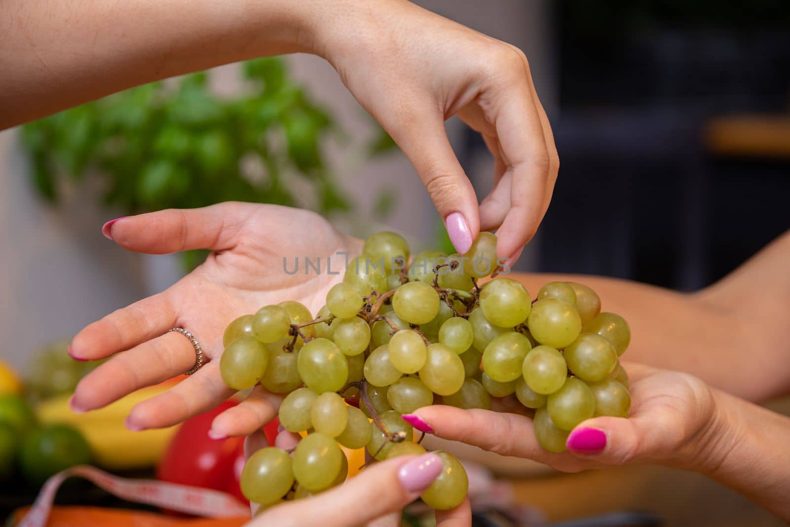 Female hands hold a bunch of green grapes. Hands of two women with colored nails. Large close-up on two pairs of hands. Blurred herbs in a pot in the background.