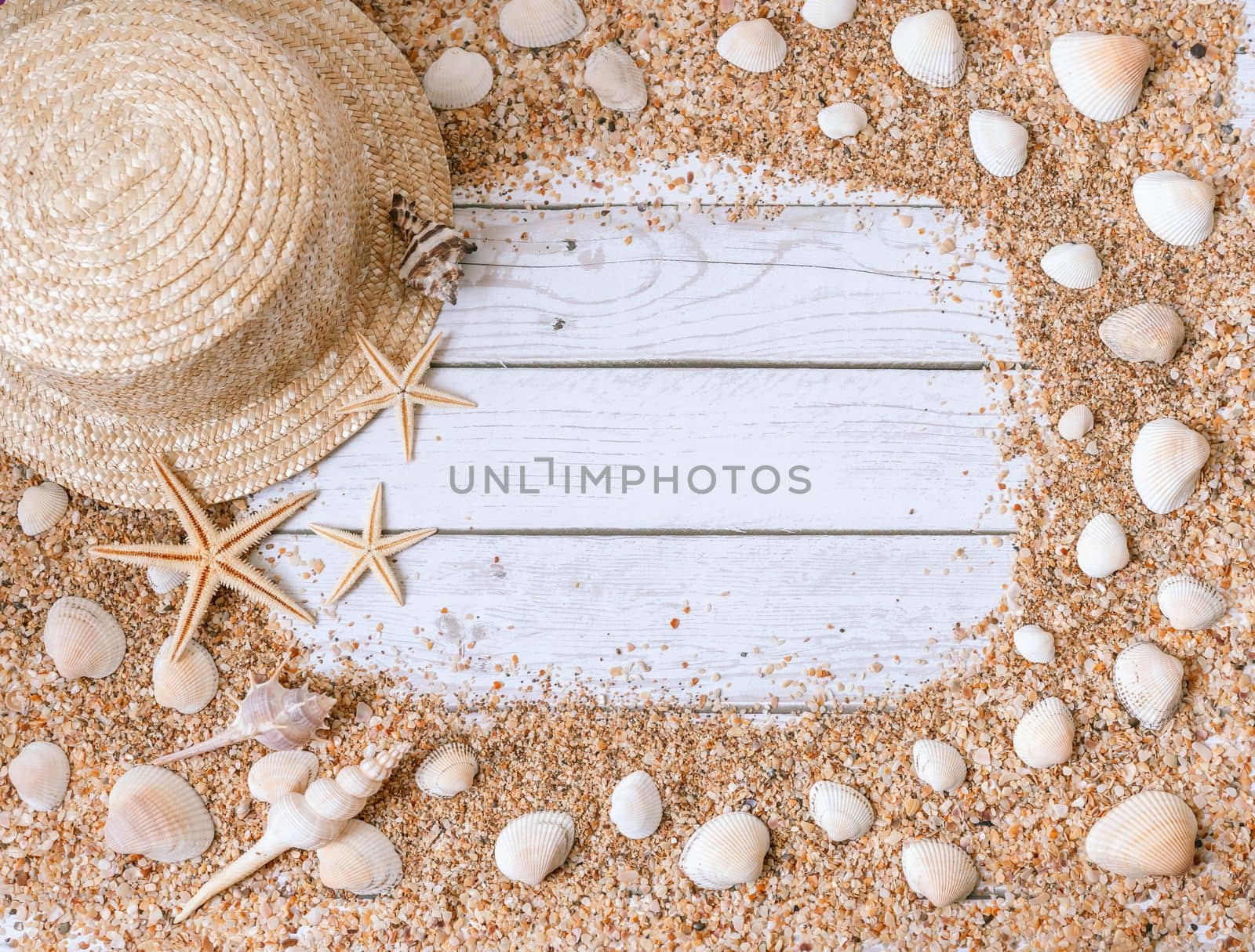 Sand seashells background. Summer time concept with sea shells and starfish on wooden background and sand.