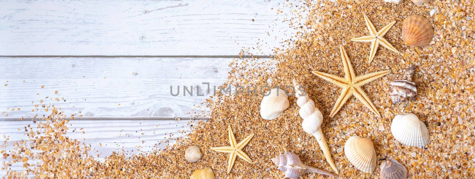 Sand seashells baner background. Summer time concept with sea shells and starfish on wooden background and sand.
