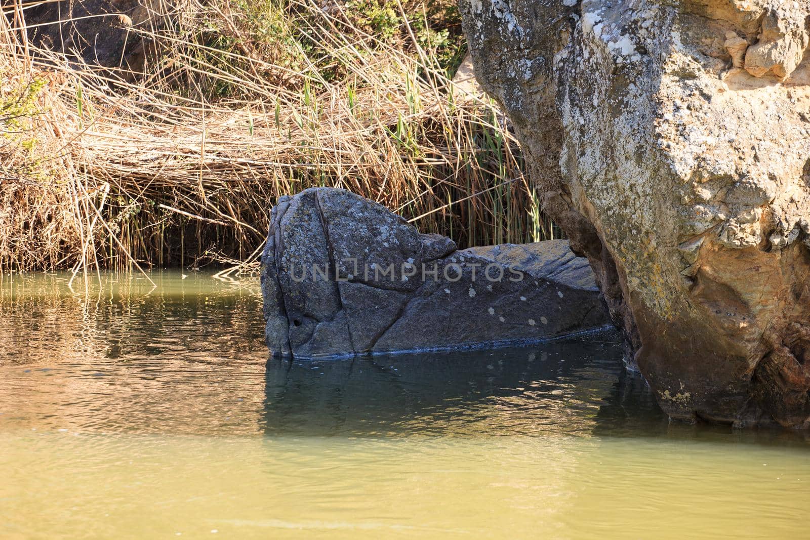 Rock in the Salso river. Enna countryside