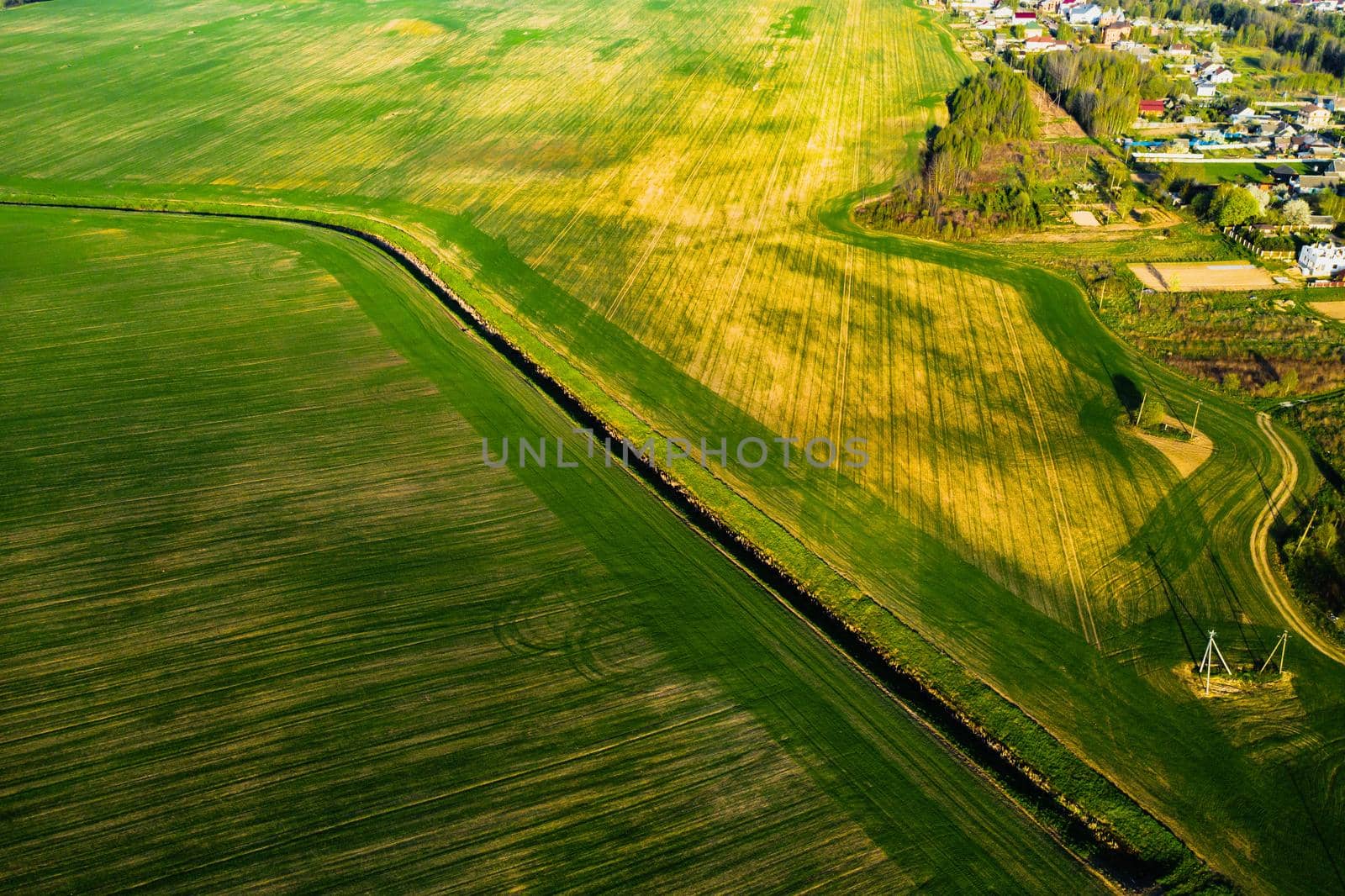 Bird's-eye view of a green field .Sowing campaign in Belarus.Nature Of Belarus.Own green field at sunset.
