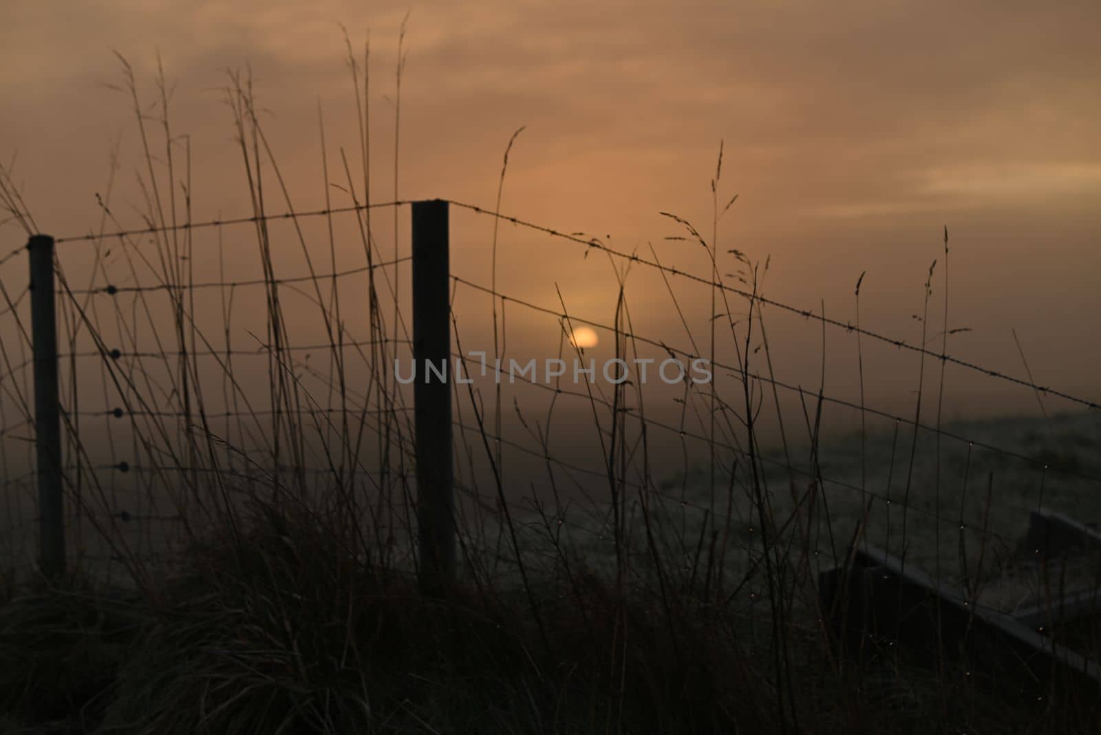 Beautyful sunrise behind a fence on a dike in winter as a close up