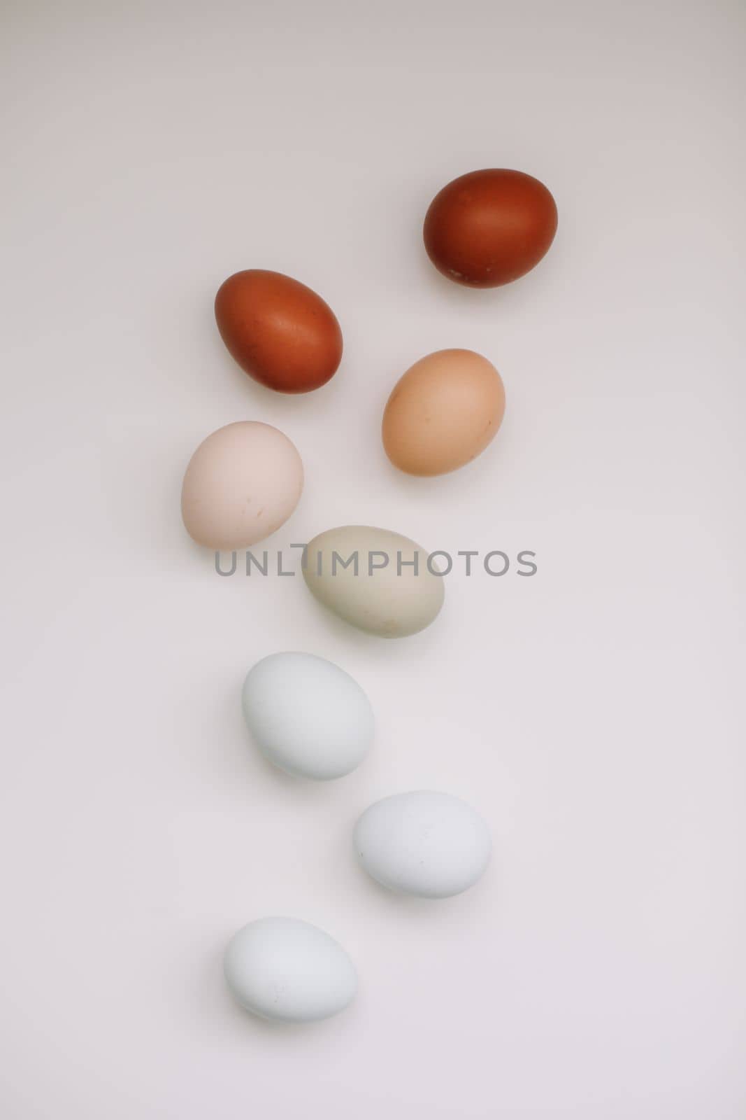 Chicken eggs of natural shades and colors a white background. Healthy organic food, natural farmer's products concept. Happy Easter background. Selective focus.