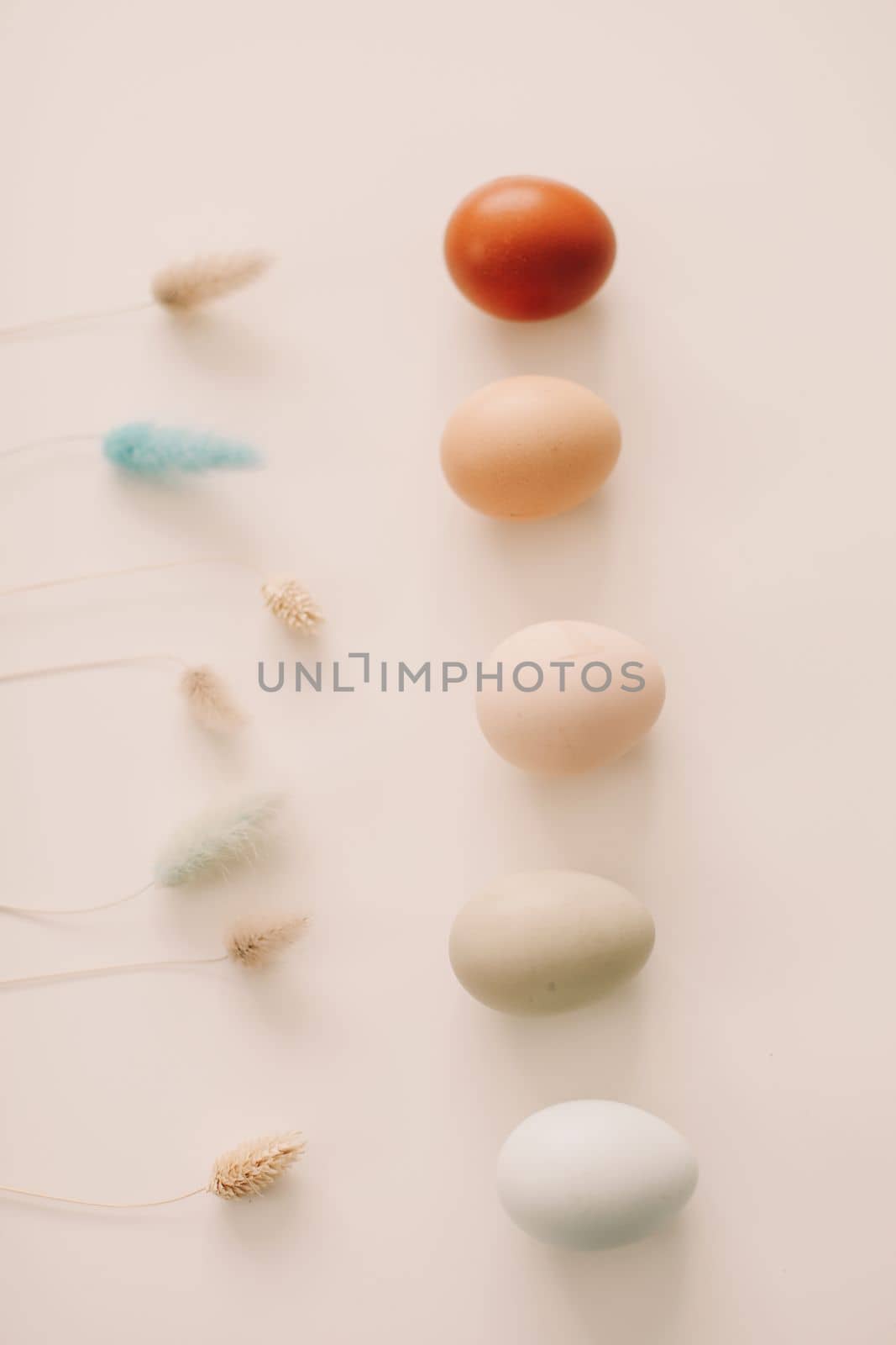 Chicken eggs of natural shades and colors a white background. Healthy organic food, natural farmer's products concept. Happy Easter background. Selective focus.