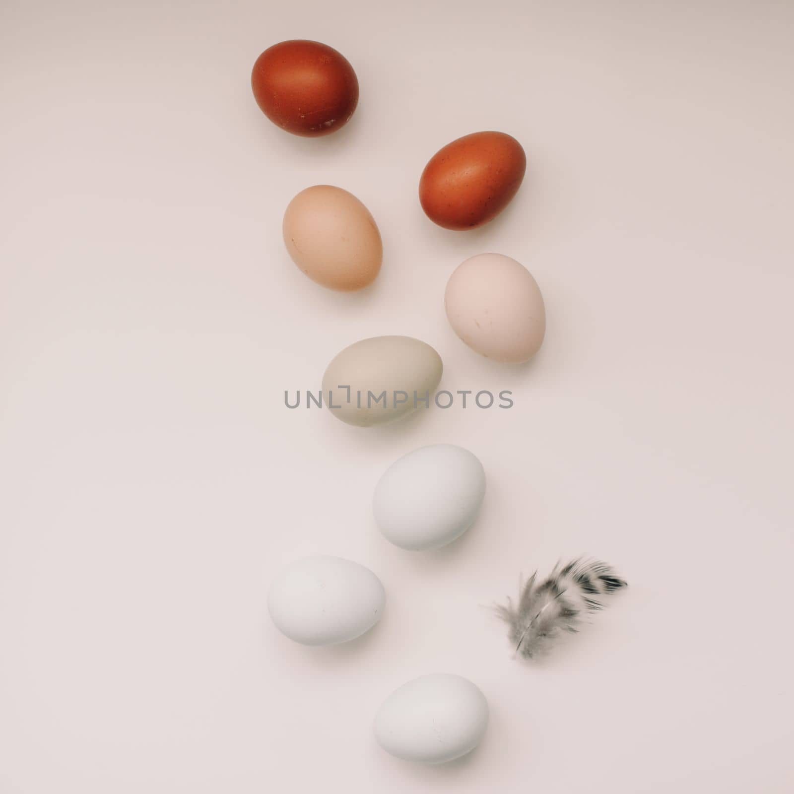 Happy Easter concept. Fresh chicken eggs of natural shades and colors on a white background by paralisart