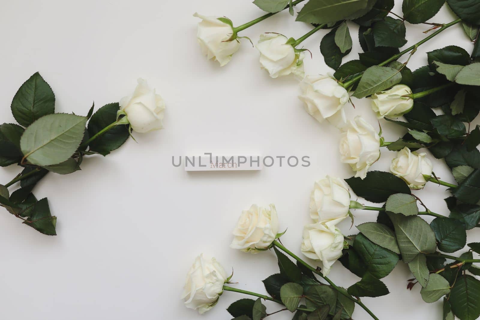 8 March, Woman Day background with white roses and place for text on white background top view.