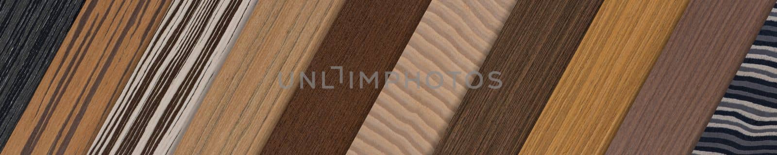 Samples of wood of different species. Pieces of wood veneer in different shades and textures. Samples of wood for the production of floor furniture or doors top view. by SERSOL