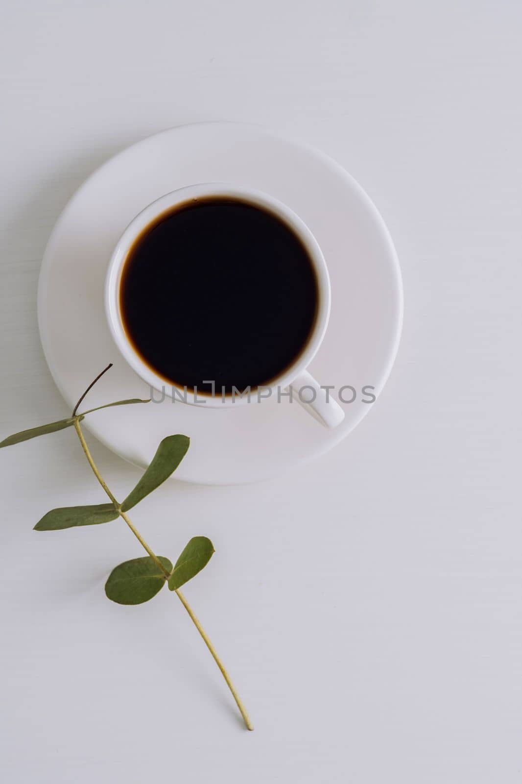 Black coffee in white cup with saucer and eucalyptus branch on table