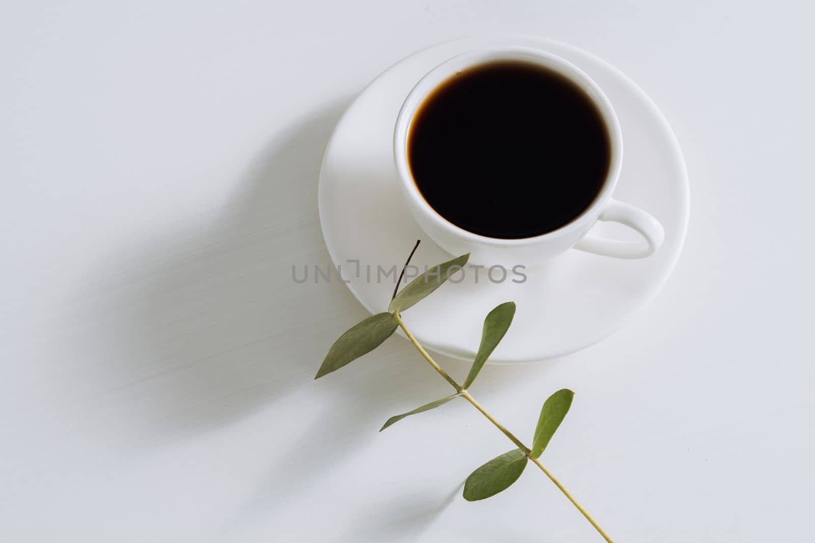 Black coffee in white cup with saucer and eucalyptus branch on white table by Romvy