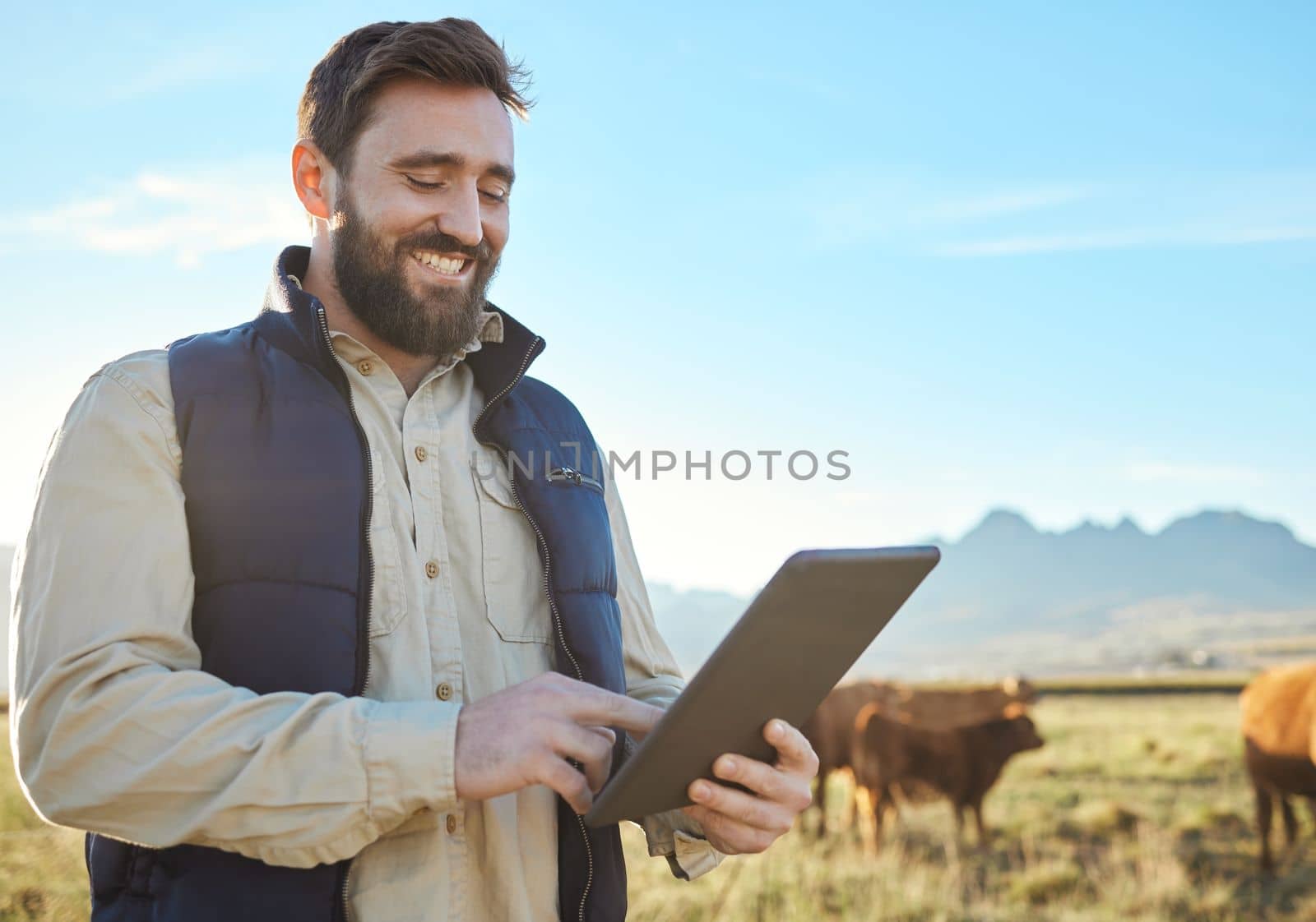 Checklist, cow or agriculture man with tablet on farm for sustainability, production or industry growth research. Agro, happy or farmer on countryside field for dairy stock, animals or food by YuriArcurs