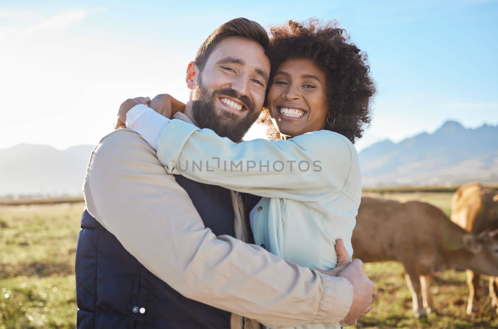 Love, cow and smile with interracial couple on farm for agriculture, peace and growth. Teamwork, animals and hug with portrait of man and black woman in field for sustainability, agro or environment.