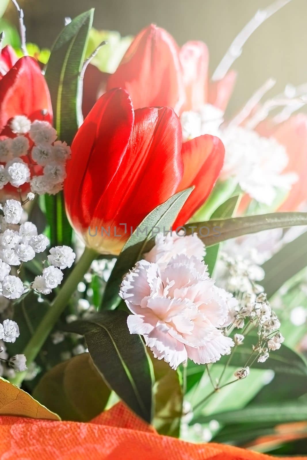 Close up of red tulips and white small flowers on light background with copy space.