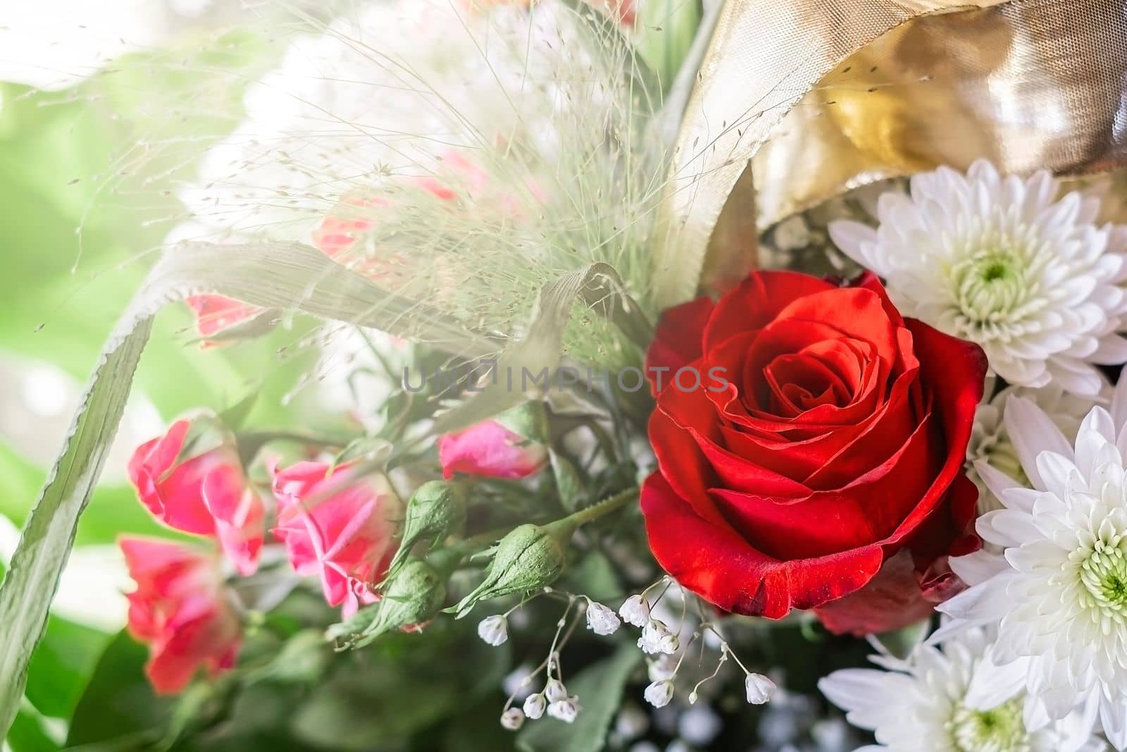 Beautiful bouquet of one red rose and white flowers on light background.